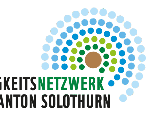 Logo_Nachhaltigkeitsnetzwerk_SO_RGB-aspect-ratio-540-420