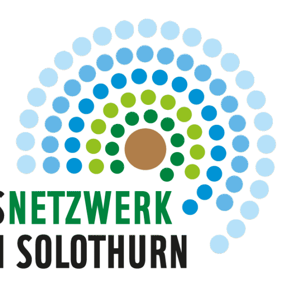 Logo_Nachhaltigkeitsnetzwerk_SO_RGB-aspect-ratio-600-600