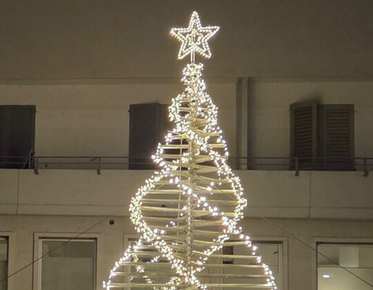 Tannenbaum-AG-aspect-ratio-540-420