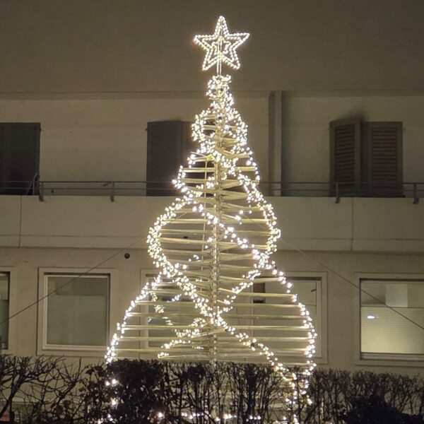 Tannenbaum-AG-aspect-ratio-600-600