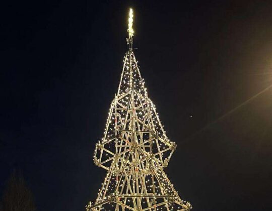 Tannenbaum-BS-aspect-ratio-540-420