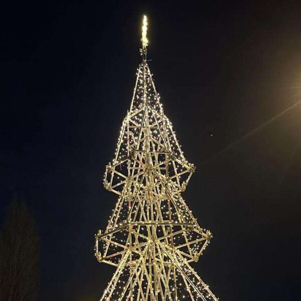 Tannenbaum-BS-aspect-ratio-600-600